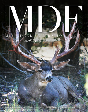 MDF Magazine Submissions