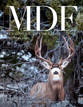 MDF magazine